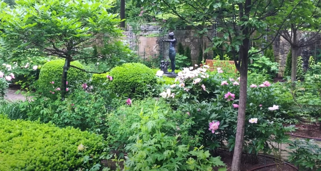 Irrigation & Sprinkler Systems service in Goodyear, Arizona